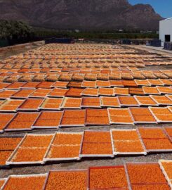 Capedry Montagu Farmstall
