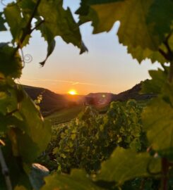 Ashton Winery