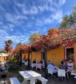 Die Boord/The Orchard Koffiewinkel 