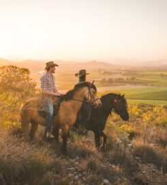 Winelands Horse Trail