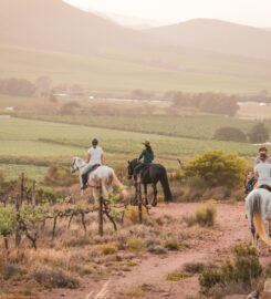 Winelands Horse Trail