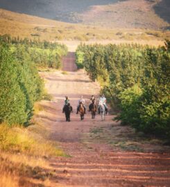 Winelands Horse Trail